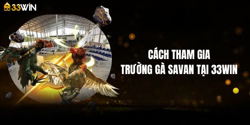 Hướng dẫn tham gia cá cược trường gà Savan tại 33Win