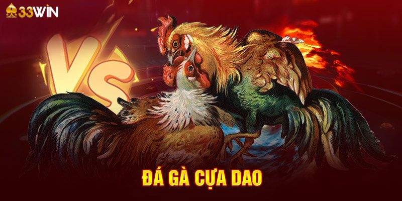 Đá gà cựa dao