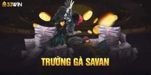 Trường gà Savan